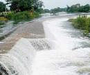 Cauvery river. File photo
