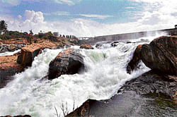 quiet flows Cauvery: Water gushes out of the crest gates of the KRS dam on Sunday,  following the Supreme Court order to release water to Tamil Nadu. dh photo