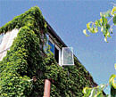 BEAT THE HEAT: Green rooftops can have the added benefit of enhancing local  biodiversity.