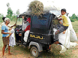Munivenkatappa carries an auto rickshaw load of dry grass from Matnahalli, Kolar taluk, as fodder for his cattle at home in Andhrahalli seven km away. dh photo