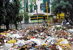 Garbage mounds reappear in City