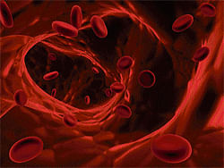 Blood vessel generating cells found