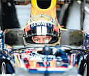 Eye of the tiger: Sebastian Vettel will hope his new-found form helps him become the youngest triple world champion. AFP