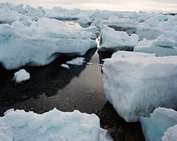 Arctic deep-sea litter doubles in last decade