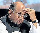 Agriculture Minister Sharad Pawar. File photo