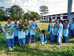 LEARNING LESSONS: School girls in Arunachal Pradesh.  picture by the author.