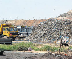 Landkill  Public outcry against dumping Bangalores garbage at Mandur landfill has left the IT capital in the lurch. DH Photo/ Srikanta Sharma R