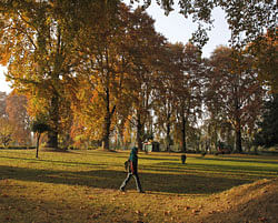 A Kashmiri girl walks though a garden lined with dried leaves of Chinar trees on the outskirts of Srinagar, on Thursday, Nov. 1, 2012. AP