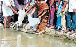 New life: Kolar Deputy Commissioner D S Vishwanath released fish into the temple tank at  Hunukunda in Bangarpet taluk recently. dh photo