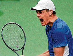 roar of success Tomas Berdych celebrates his win over Nicolas Almagro in the Davis Cup final on Friday. afp