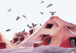 The nest at Gaganpahad, on the outskirts of the city, can provide space for 5,000  6,000 pigeons.