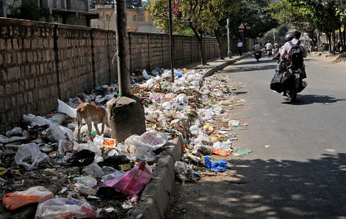 Uncleared garbage at Chikka Banasavadi Main Road on Monday. DH Photo B H Shivakumar