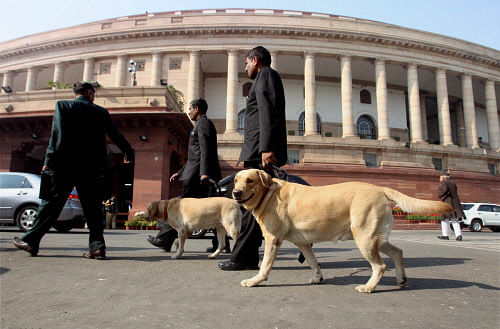 Security personnel with sniffer dogs patrol at Parliament House on the first day of its winter session in New Delhi on Thursday. PTI Photo