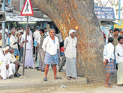 A group of labourers wait at Mahaveer Circle in Mandya to be picked by contractors.  dh photo