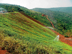 Going green: Geo textiling being taken up on the slope of a dump yard. dh photo