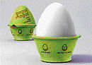 Carton to cook eggs without boiling water