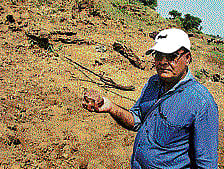 Latest discoveries throw light on ancestors