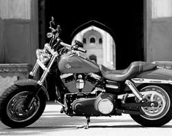 Harley-Davidson Fat Bob in India