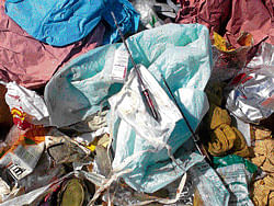health hazard: Bio-medial waste dumped in an open area near Hebbal Lake.  dh photo
