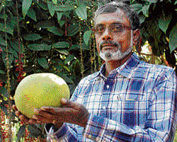 Farmer Ramesh Shivanapur. (photos by the author)