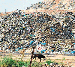 not any more The garbage landfill at Mandur village, which is in the eye of a storm. DH File Photo