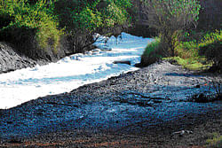 rIVER OF DEATH: Polluted water from the channel flows to agricultural fields. DH Photos/ Srikanta Sharma R