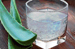 Natural A glass of aloe vera juice consumed once a day helps control body weight.