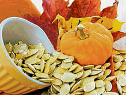 Essential Watermelon, musk melon and sunflower seeds are a good source of fibre.
