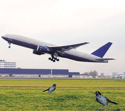 New device to scare birds away from planes
