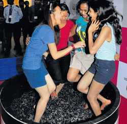 EXCITED: Visitors enjoying grape stomping.