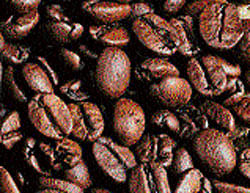 Coffee Board seeks export sops
