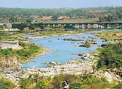 DH file photo of river Cauvery