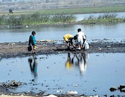 River Yamuna dying everyday, as authorities turn the other way