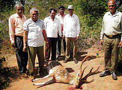 A deer was killed in an accident at Ramachandrapur Forest area in Malur on Monday. DH Photo