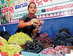 My pick: A visitor picks a bunch of grapes of her choice at the Grapes and Watermelon Mela organised by Hopcoms in  Bangalore on Wednesday. DH Photo