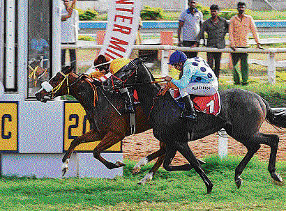 In the nick of time: Light Of Success, Liam Jones astride, edges out S John-ridden Turf Striker by a neck to claim the P Dayanand Pai & P Sathish Pai Bangalore Winter Million. DH PHOTO