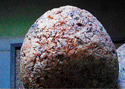 Jurassic age: A fossil of a dinosaur egg on display at the park. Photo by author
