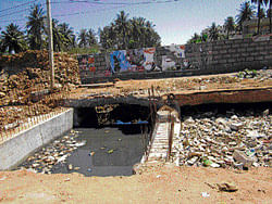 The rajakaluve near the sewage treatment plant in Hebbal.