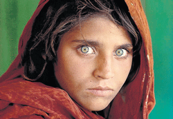 Steve McCurrys  Afghan girl.