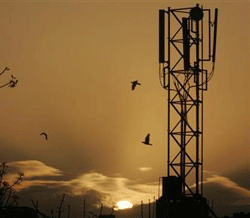 The sun rises behind a communications tower in New Delhi March 20, 2006.  Credit: Reuters