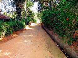 A view of narrow road leading to a colony in Kanoor village near Gonikoppa.  DH photos