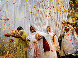 Holi fervour: Widows throw flowers into the air during a holi celebration at the Meera Sahavagini ashram in Vrindavan on Sunday.  REUTERS