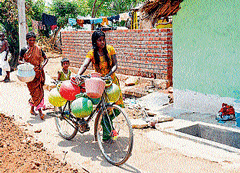 People struggle to find enough water to meet their daily requirements in regions of Chamarajanagar district.  DH PHOTO
