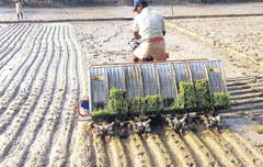 Mechanisation offers hope for paddy farmers