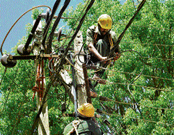 In action: The BESCOM electricians on the job.