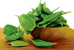 The green goodness of spinach