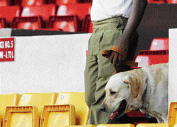 A personnel with sniffer dog  inspects Chinnaswamy stadium on the eve of IPL cricket match, on Friday. dh photo