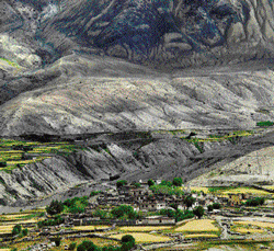 NAture's canvas The vast landscape of Nubra, with its different hues.