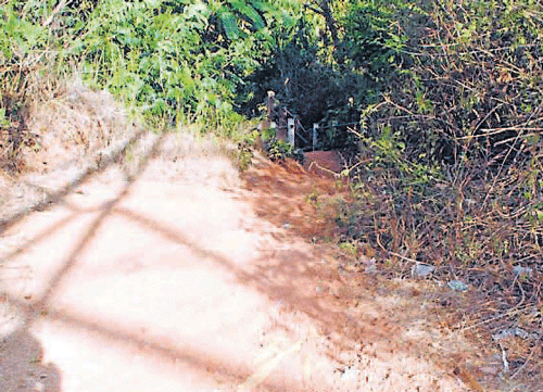 A view of the road connecting Kajuvalli, Nekkare, Devasya near Vittal.