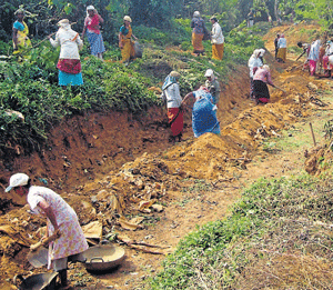 Women labourers take up desilting of a canal at Thevula in Munnur gram panchayat.